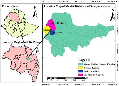 Rural household resilience to food insecurity in Mekiet district, Ethiopia